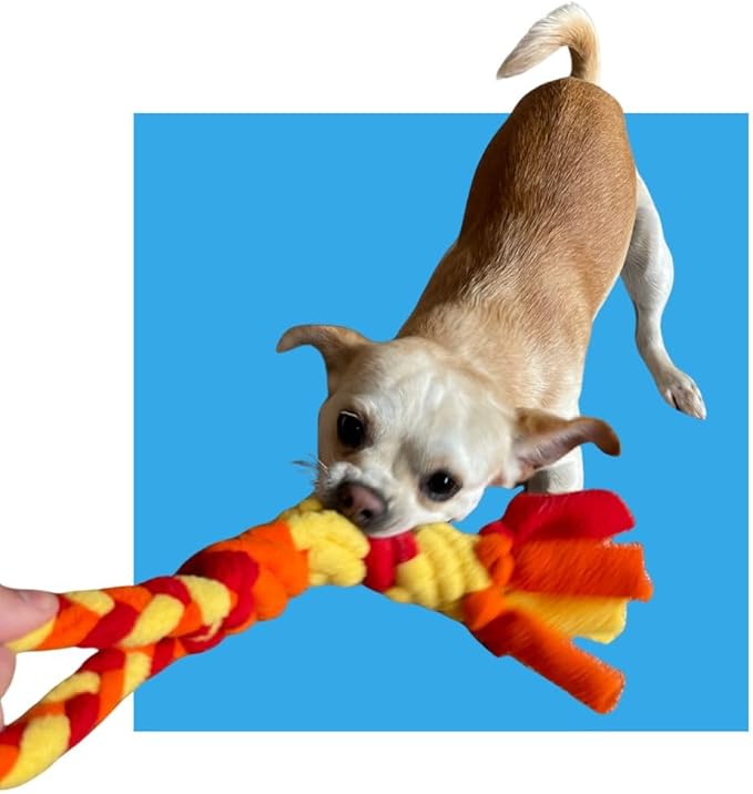 Chelsy's Toys 3-in-1 Enrichment Tube for Puppies - Tug Toy, Treat Dispenser & Snuffle Ball | Tug of War | Interactive Puppy Treat Puzzle for Small Dogs & Pup's| Wet/Freeze Teether(Orange)