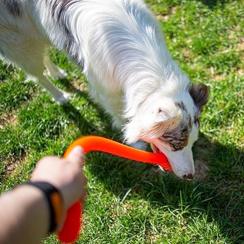 Perfect Tug Dog Tug of War Dog Toy, Safe Puppy Chew Toys, Made in The USA Rubber-Free Toy 24” Long
