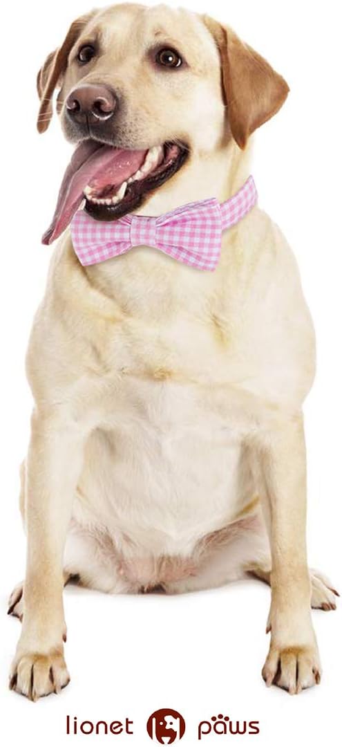 Lionet Paws Dog Collar with Bowtie, Comfortable Adjustable Cute Pink Gingham Bow Tie Collar for Female Dogs Gift, Medium, Neck 13.5-22 inches