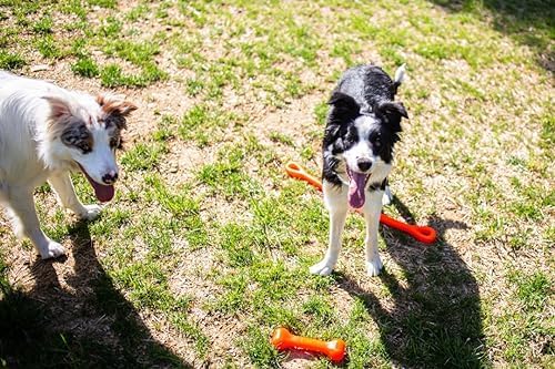 Perfect Tug Dog Tug of War Dog Toy, Safe Puppy Chew Toys, Made in The USA Rubber-Free Toy 24” Long