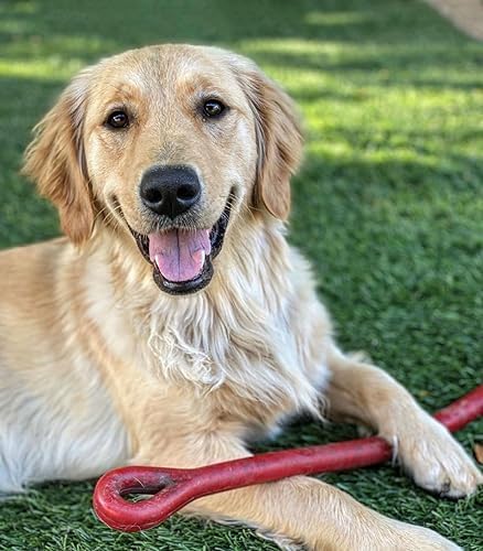 Perfect Tug Dog Tug of War Dog Toy, Safe Puppy Chew Toys, Made in The USA Rubber-Free Toy 24” Long