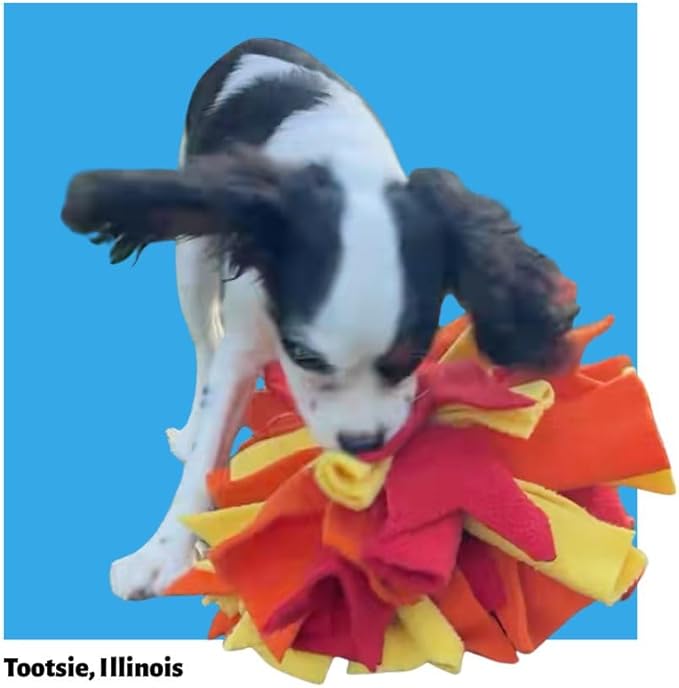 Chelsy's Toys 3-in-1 Enrichment Tube for Puppies - Tug Toy, Treat Dispenser & Snuffle Ball | Tug of War | Interactive Puppy Treat Puzzle for Small Dogs & Pup's| Wet/Freeze Teether(Orange)