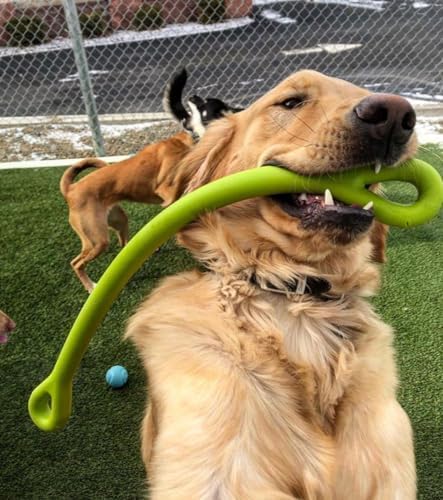 Perfect Tug Dog Tug of War Dog Toy, Safe Puppy Chew Toys, Made in The USA Rubber-Free Toy 24” Long