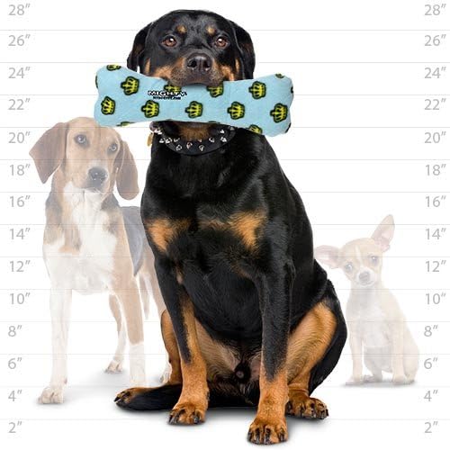 MIGHTY- No Stuff Bone-Blue– Squeaky Plastic Core. 2-in-1 Toy. Made Durable & Floats, Strong & Tough. Interactive Play Dog Toy (Tug, Toss & Fetch)