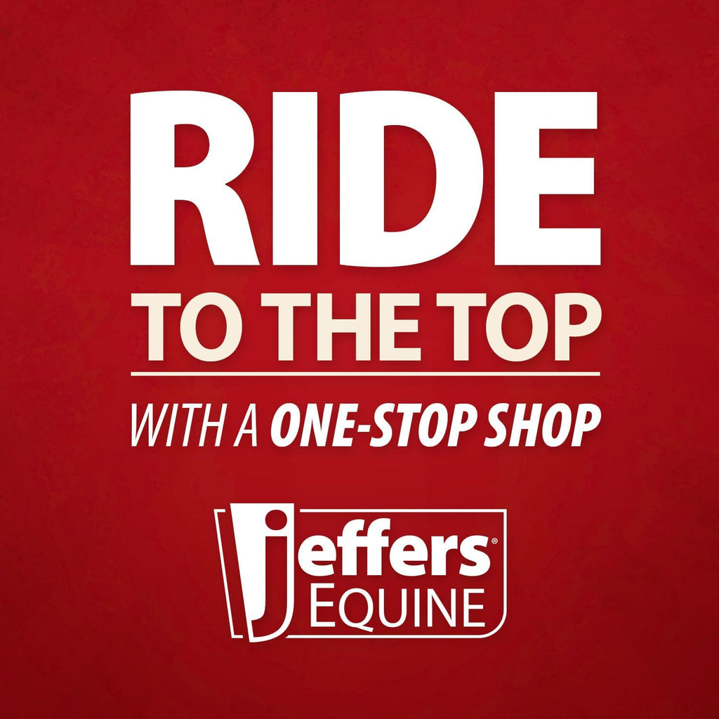 Jeffers Motion Potion Pellets Joint Supplement for Horses, 10 lb- Glucosamine, MSM, Chondroitin, Hyaluronic Acid, & Vitamins. Daily Supplement for Safe, Easy to Feed, Fast Acting for Equine