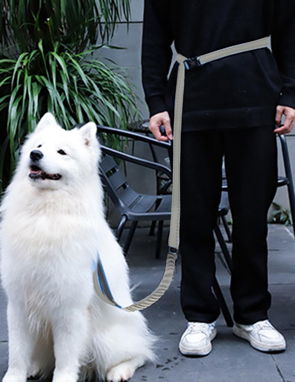 Hands Free Dog Leash for Large Medium Dogs Heavy Duty Bungee Reflective Adjustable Waist Leashes for Walking Running with Car Buckle 4-6FT (Grey)