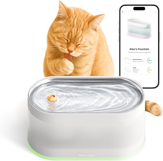 Petcube Pet Water Fountain | Automatic Wireless Fountain for Cats and Dogs with Stainless Steel Bowl, Easy to Clean, 4-Layer Filtration, in-App Filter Control, LED Light, Quiet Pump, Battery Operated
