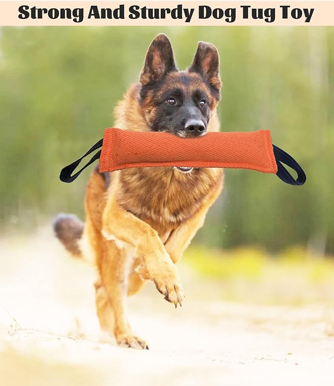 Clysoru Dog Tug Toy Double Pack Tough Jute Bite Pillow Training Equipment Puppy to Large Dogs Interactive