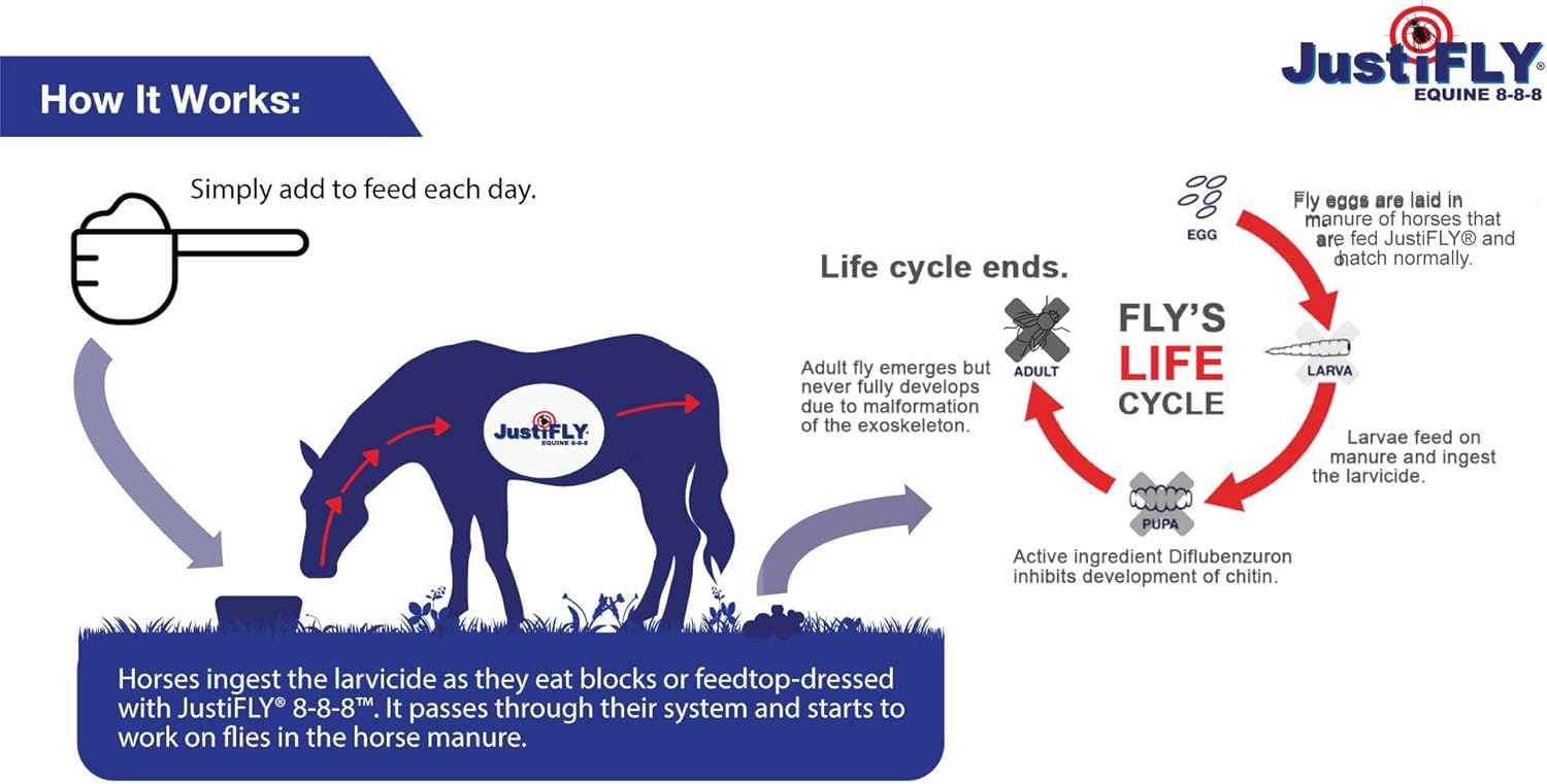 Equine 8-8-8 Fly Control for Horses (10 lb)