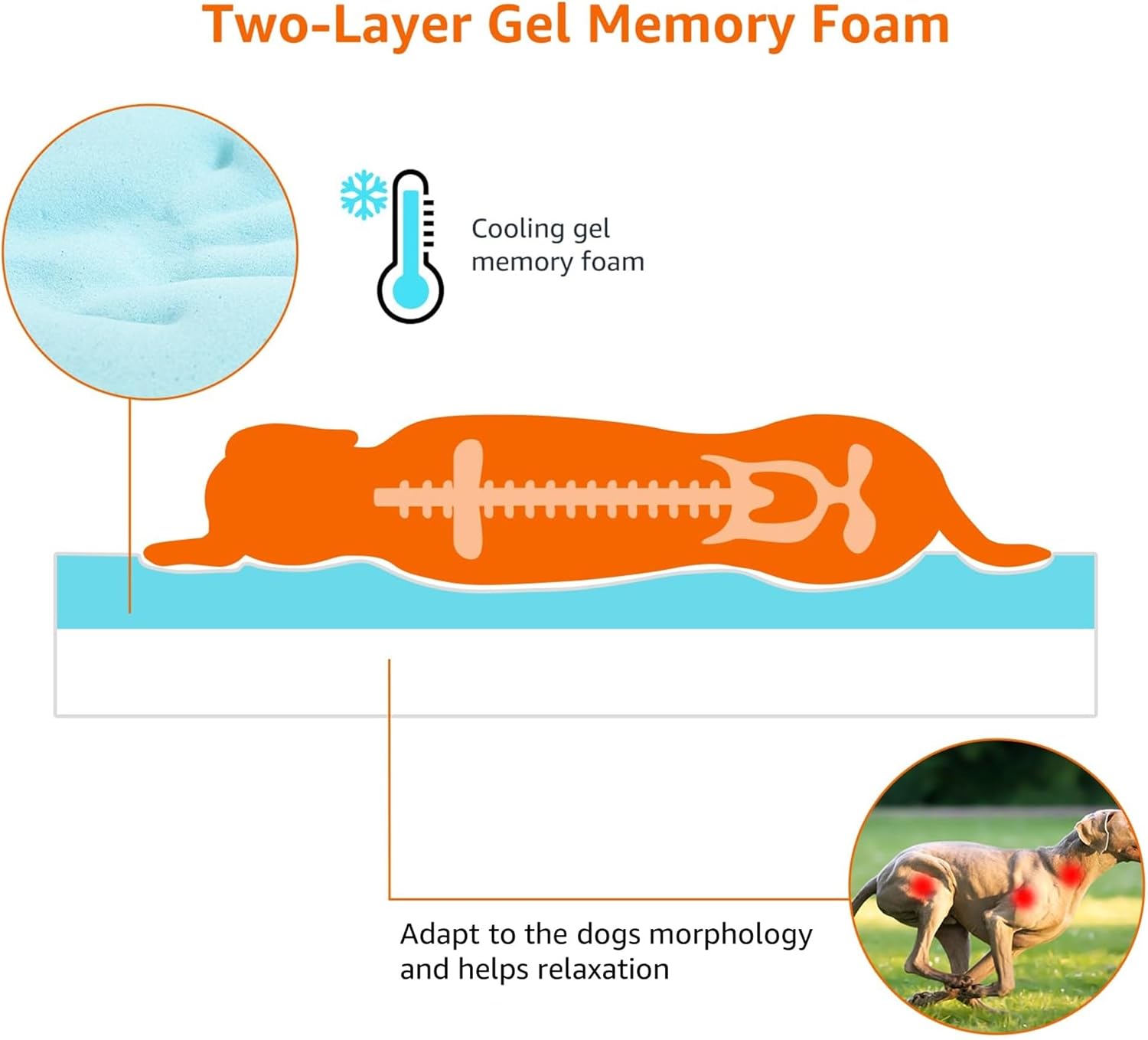 Amazon Basics Dog Bed with Cooling Gel Memory Foam, Pressure-Relief Support for Dogs up to 120lbs, Non-Slip Bottom, Machine Washable Cover, Giant Sized (50" x 34"), Grey