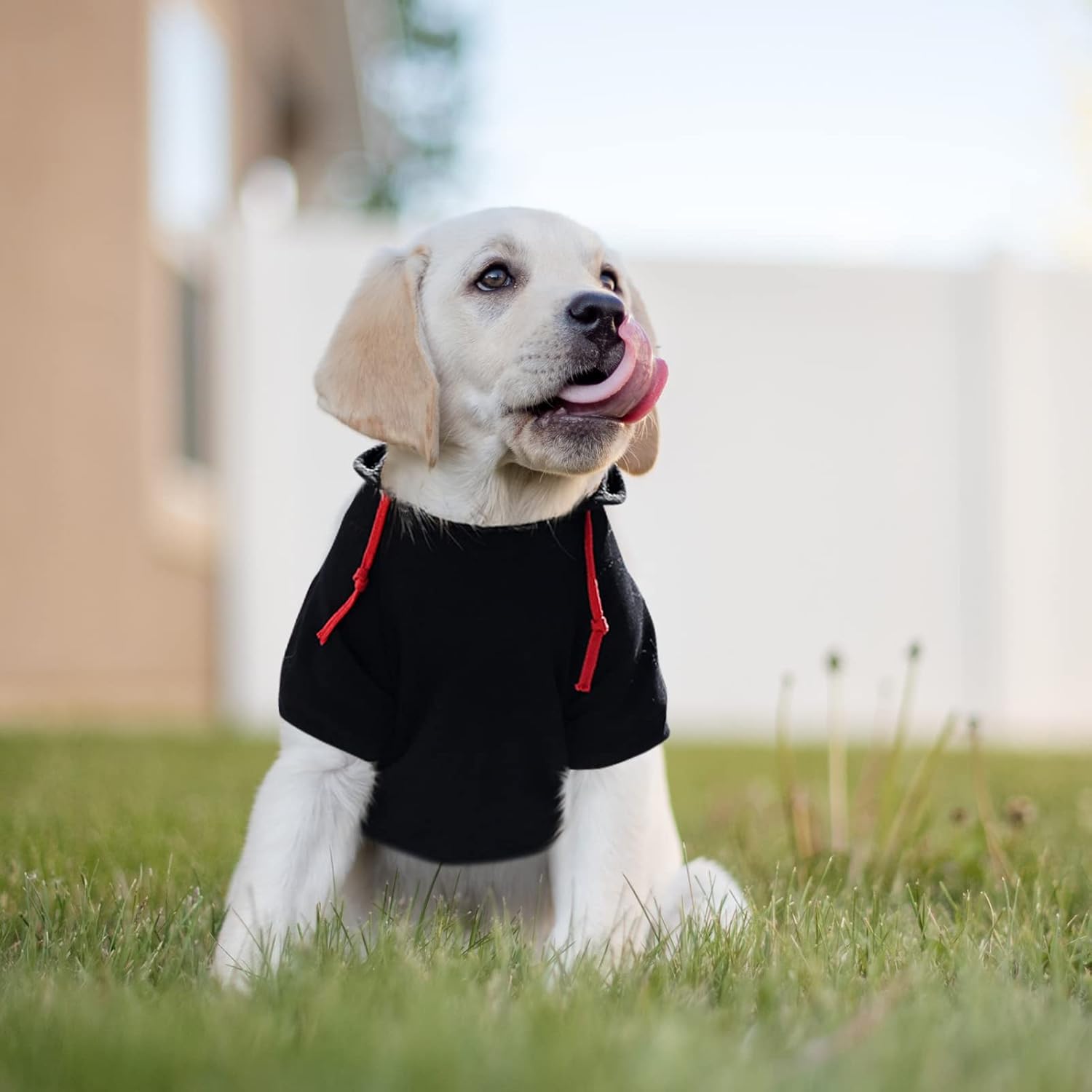 SAWMONG Dog Hoodie,Flannel Pet Hooded Sweater with Hat Puppy Pullover Sweater Shirt,Dog (Black,S)