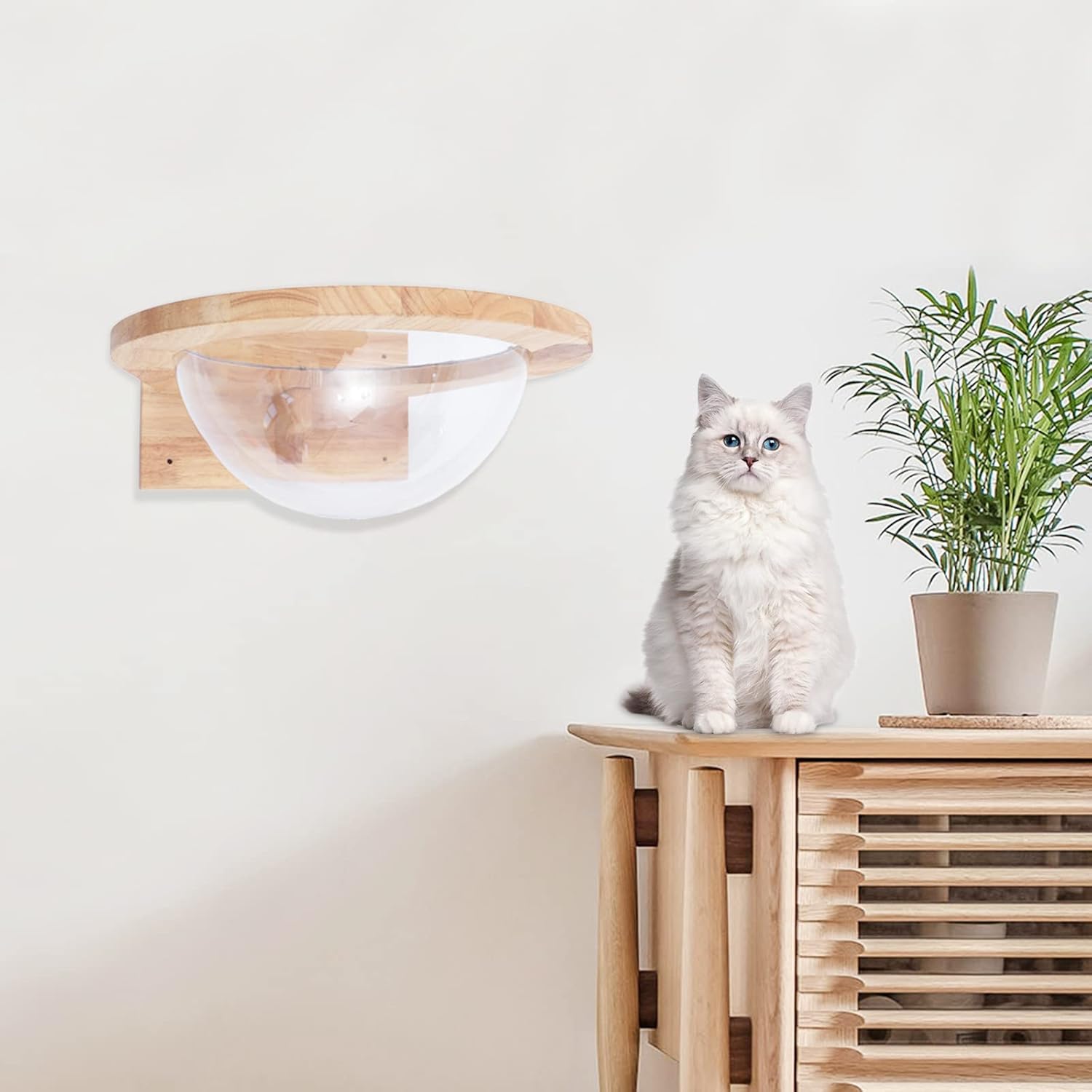 Wooden Cat Hammock, Clear Space Capsule Cat Bed, Wall-Mounted Kitten Walls Shelves Kitty Beds Small Pets Beds, Cats Toy Perch House for Sleeping, Playing, Climbing and Lounging