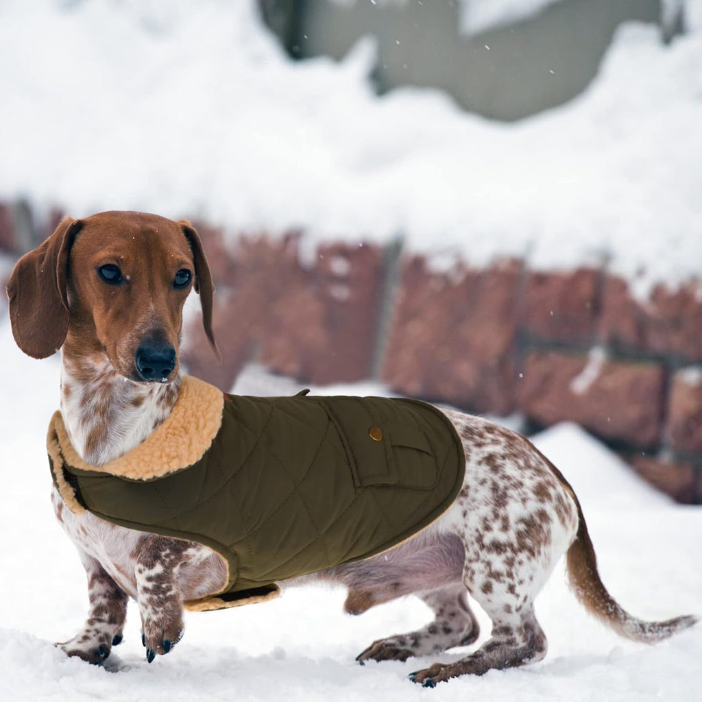 Queenmore Warm Dog Coat, Cold Weather Puffer Dog Coat, Quilting Winter Dog Jacket Ultra Thick Plush Lining with Storage Pockets (Green, Small)