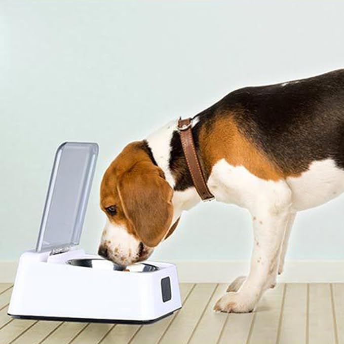 Automatic Open Dog Food Bowls Stress Pet Feeder with Clear Cover Sensing Automatic Feeding Bowls