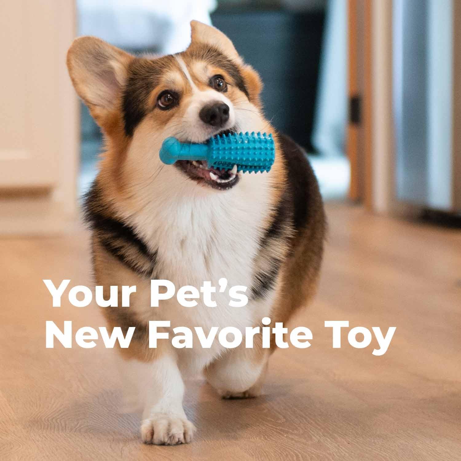 Oxyfresh Dog Dental Chew Toy - Best Durable Rubber Dog Toy for Tough Chewers – Helps Remove Plaque, Cleans Teeth & Freshens Breath Without Brushing (Large)