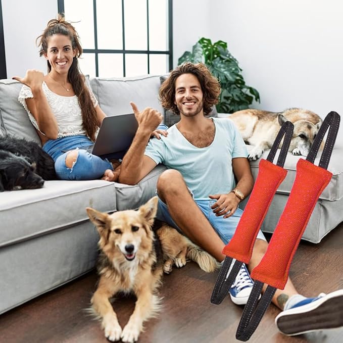 Clysoru Dog Tug Toy Double Pack Tough Jute Bite Pillow Training Equipment Puppy to Large Dogs Interactive