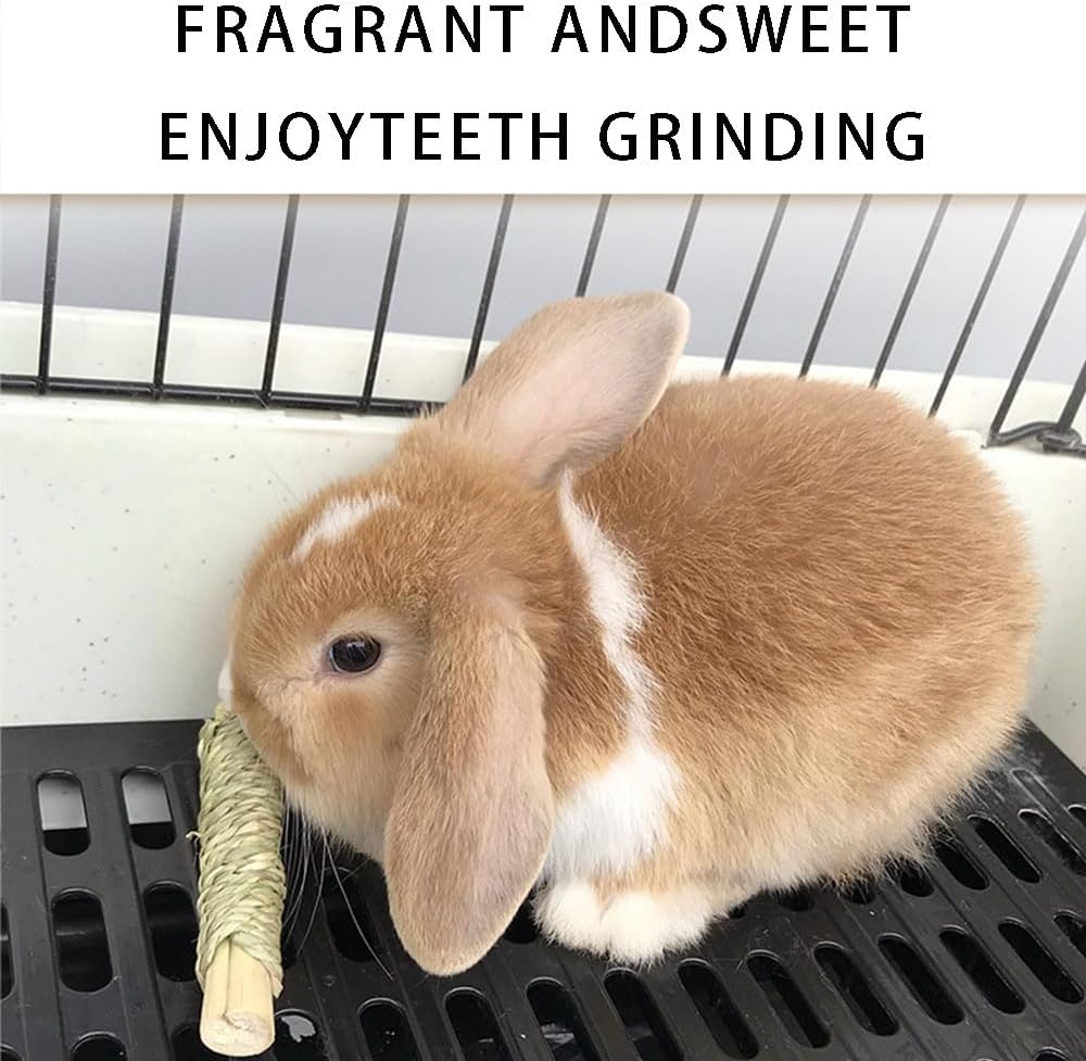 Rabbit Toys 30Pcs 3 Flavours for Teeth Grinding - Chew Toys for Hamsters, Guinea Pigs, Chinchillas