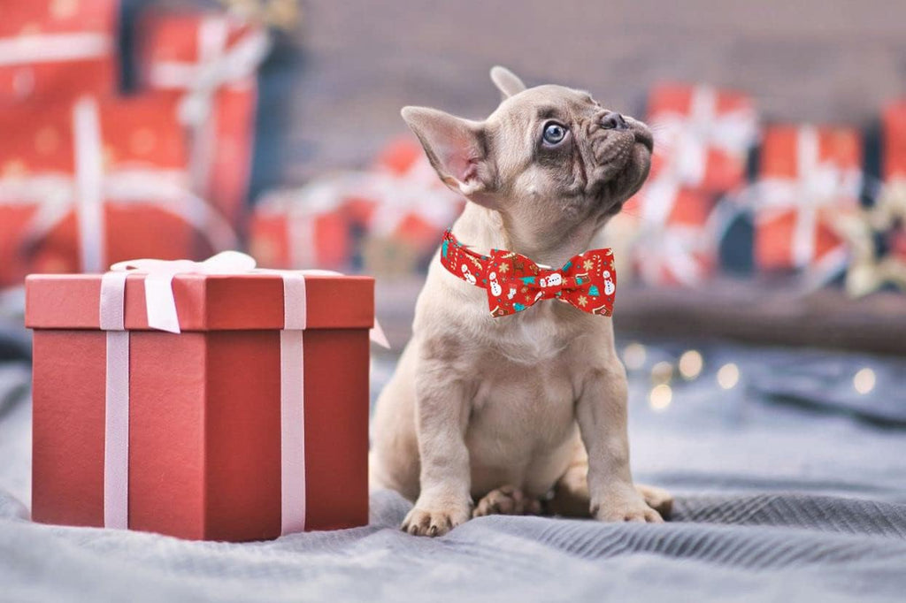 Lionet Paws Christmas Dog Collar with Bowtie, Dog Bowtie Collar with Metal Buckle for Dogs and Cats, Adjustable Comfortable Dog Collar Girl Boy Gift，XXS, Neck 7-11 in