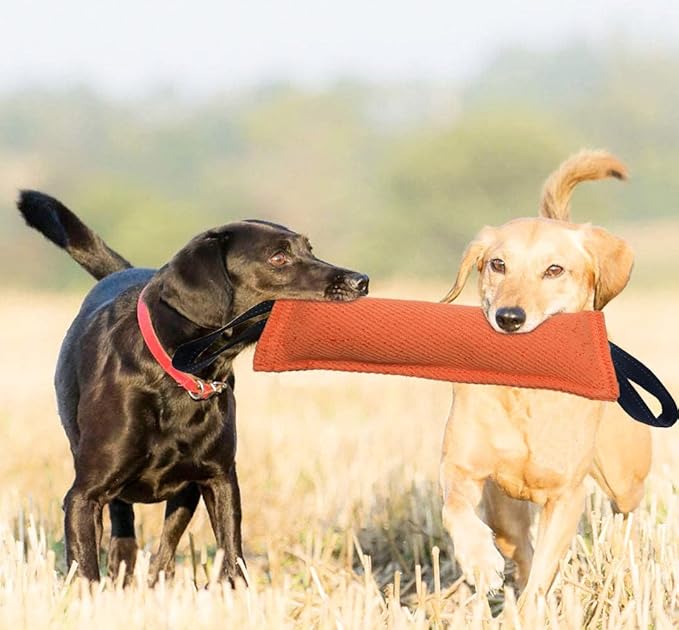Clysoru Dog Tug Toy Double Pack Tough Jute Bite Pillow Training Equipment Puppy to Large Dogs Interactive