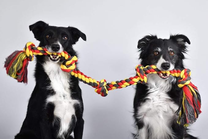 Mammoth Flossy Chews Color Rope Tug – Premium Cotton-Poly Tug Toy for Dogs – Interactive Dog Rope Toy – Tug Dog Chew Toy