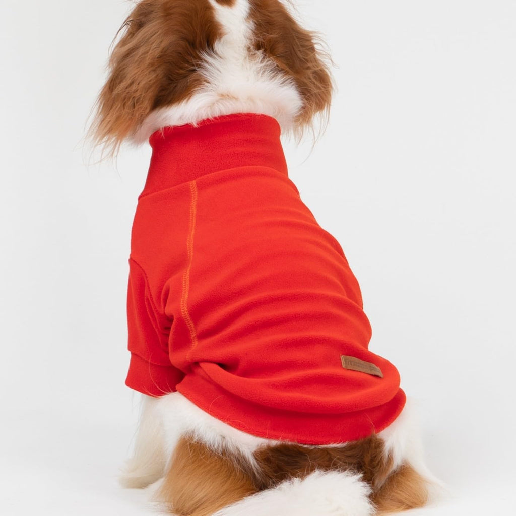 Fitwarm 3 Pack Classic Fleece Dog Sweater, Winter Clothes for Small Dogs Boy Girl, Turtleneck Dog Sweatshirt, Pet Apparel, Orange Red, Royal Blue, Neon Yellow, Medium