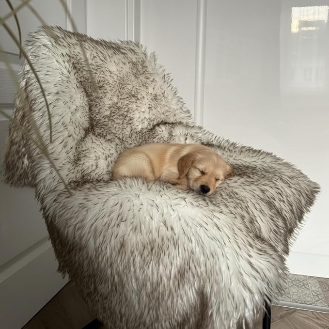 Waterproof Dog Blanket for Small, Medium & Large Dogs – Faux Fur Pet Throw for Couch, Sofa, Bed & Car – Soft, Washable, Stain-Resistant, Durable Cover – White w/Brown Tips – 40" x 30"