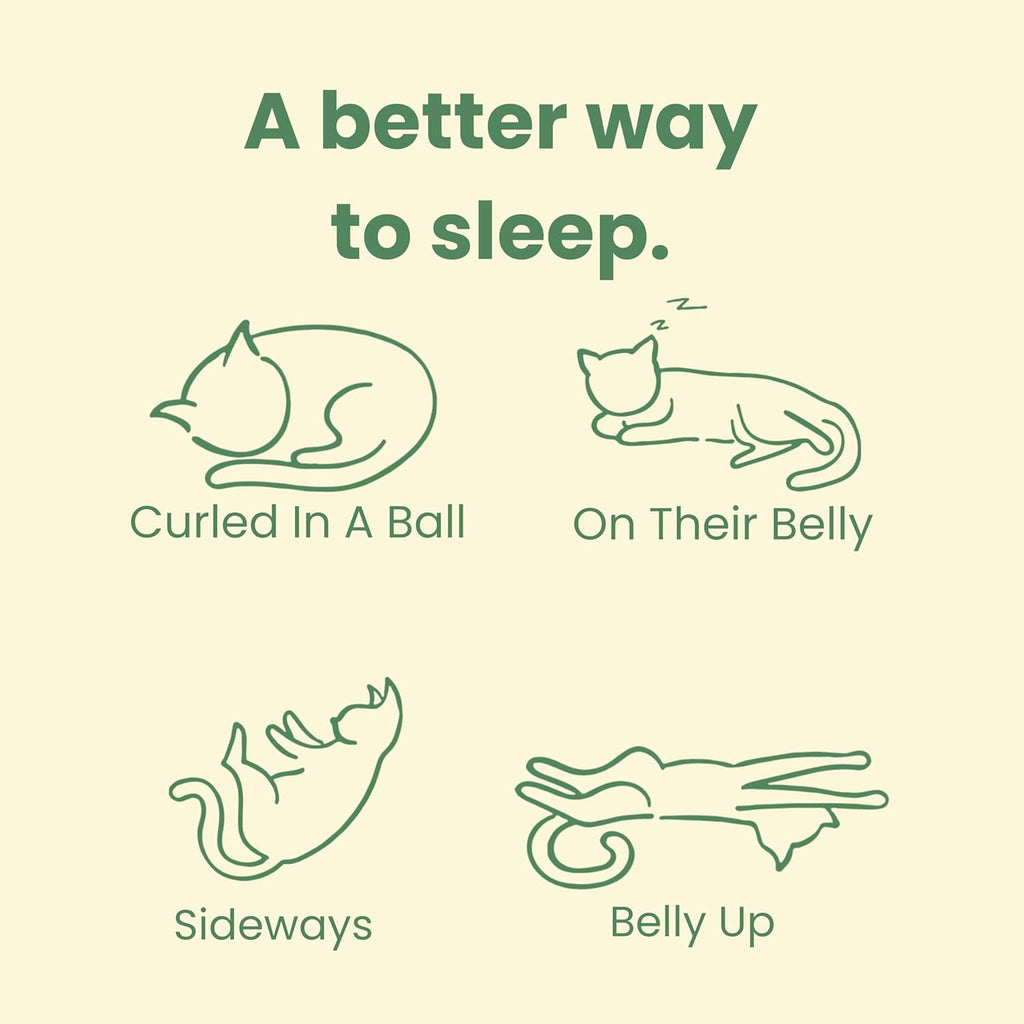 CATTASAURUS Peekaboo Cat Cave for Multiple & Large Cats Up to 30-45 Lbs, Fluffy Cat Beds for Indoor Cats, Scratch Detachable & Washable Tunnel Bed, Comfy Donut Cat Cave (Blue, Large (Calming))