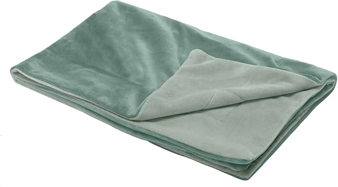 Furhaven Waterproof Throw Blanket for Dogs & Indoor Cats, Washable - Two-Tone Luxe Velvet Dog Blanket - Celadon Green, Small