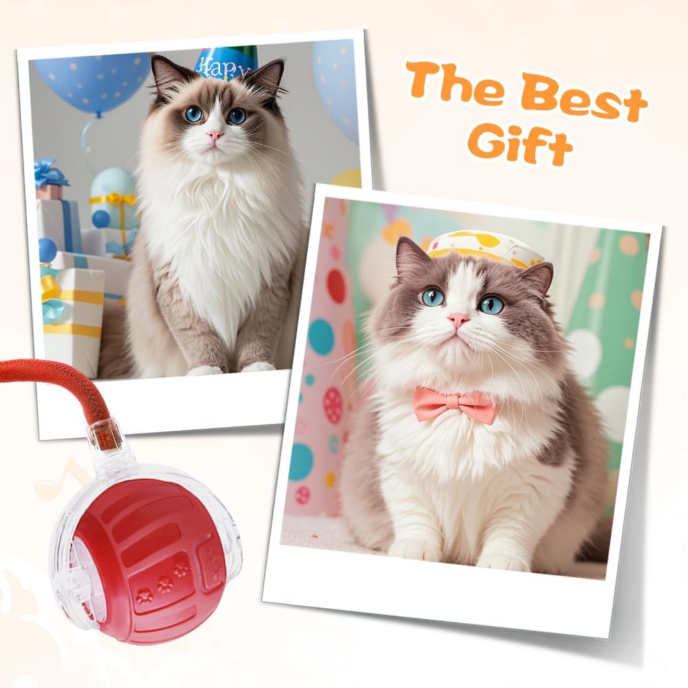 2026 New Interactive Pet Toy Ball, Smart Interactive Toy Ball for Cats & Dogs, Electric Rolling Pet Toy Ball, Rechargeable Interactive Cat Toys for Bored Indoor Cats Kittens to Keep Busy (Gray)