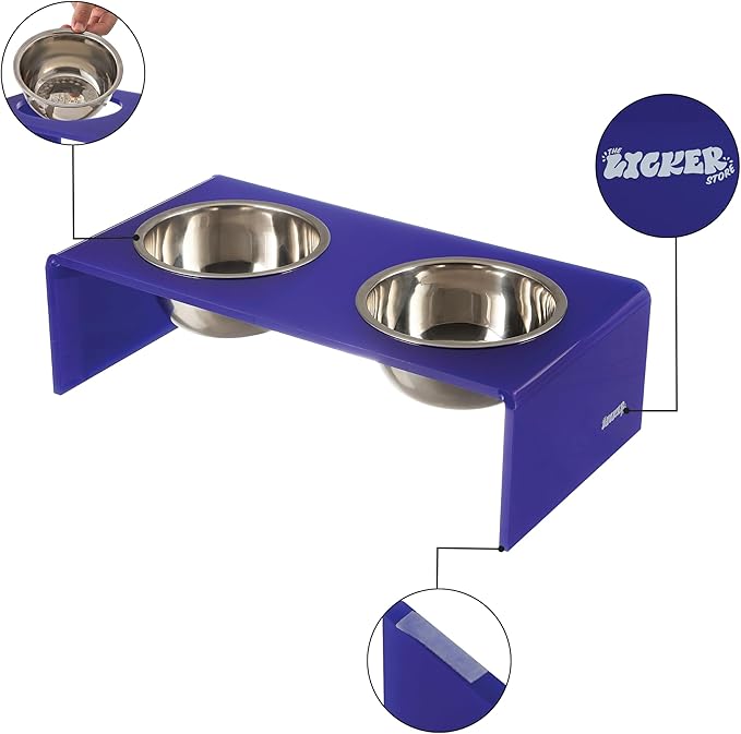 The LICKER Store DBL2000F Keaton 5" Small/Medium Modern Acrylic Rectangular Elevated Pet Feeder with 20oz 2-Stainless Steel Bowls, Purple/Chrome