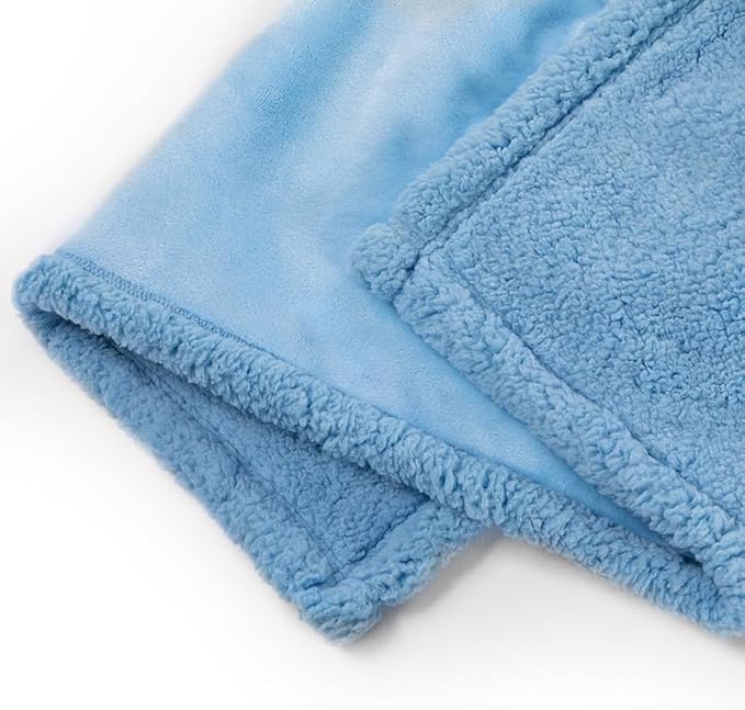 Waterproof Dog Throw Blanket Reversible Fluffy Blue Pet Bed Cover Puppy Blankets Leakproof Sofa Couch Washable Cover Cat Pet Blanket for Warm-Lake Blue,S