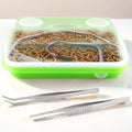 1 Pack Mealworms Breeding Kit Mealworms Keeper with 2 Pcs Insect Stainless Steel Tweezers to Breed Live Worms for Reptile Bearded Dragon Leopard Gecko Lizard Frog Bird Chicken