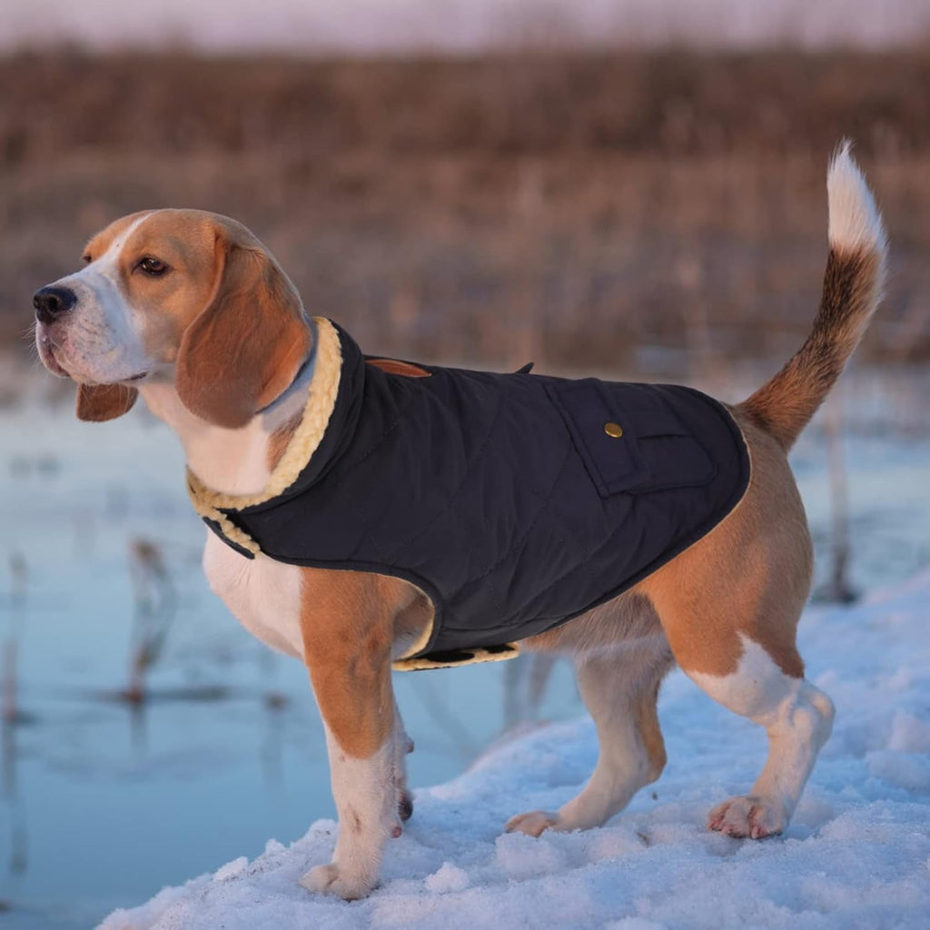 Queenmore Warm Dog Coat, Cold Weather Puffer Dog Jacket with Ultra Thick Plush Lining, Storage Pockets (Dark Navy, Medium)