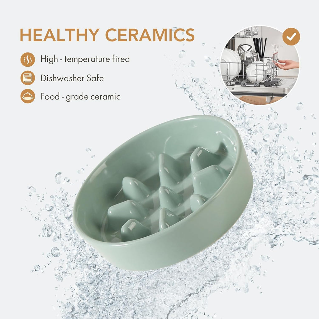 Ceramic Raised Slow Feeder Dog Bowl Set, Elevated 5.1inch Bowl and 6.1inch Slow Pet Food Dish with Wooden Stand for Small Dog and Cat (2 x Light Green+ Stand)