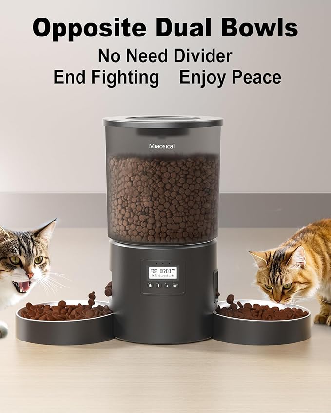 Automatic Cat Feeder for 2 Cats, 4.2L Dual Food Dispenser, Up to 6 Meals/Day, Portion Control, Voice Message, Dual Power Options (Transparent+Black, Dual Stainless Steel Bowls)
