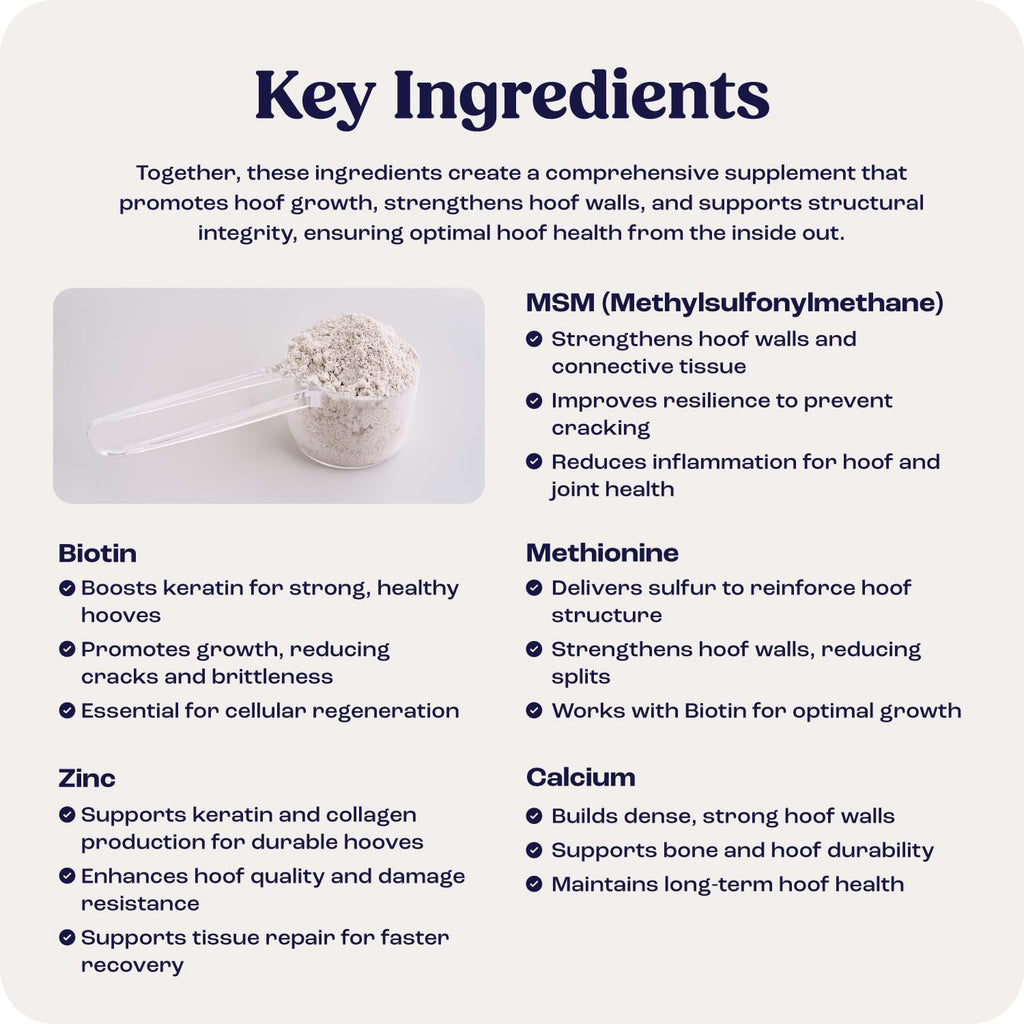 Summit Equine Hoof Strength Powder for Horses, Promotes Healthy Hooves with Biotin, Amino Acids, and Minerals, Horse Hoof Supplement,11 oz, 30-Day Supply