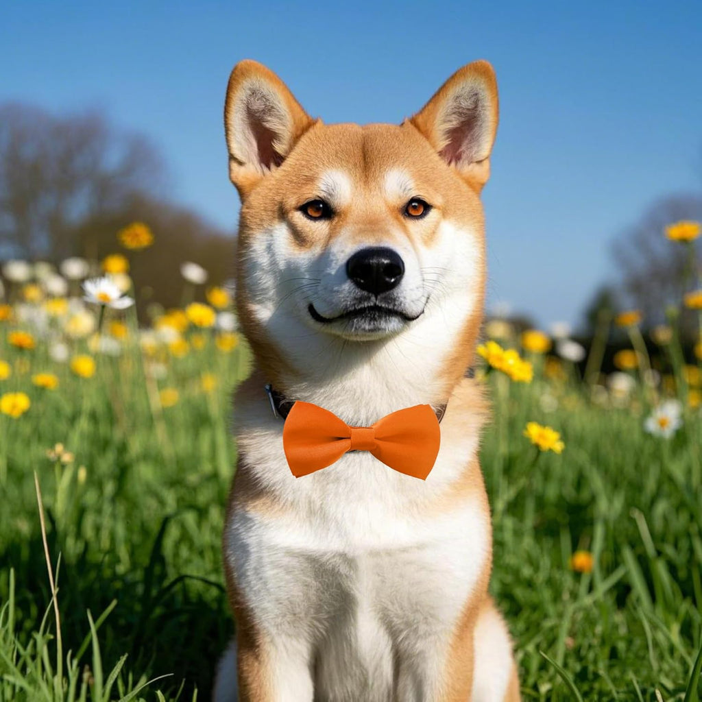 PET SHOW 12 Colors Plain Small Dogs Collar Embellishment Attachment Bow Ties Puppies Cats Collar Charms Accessories Slides Bowties for Birthday Wedding Parties Assorted Pack of 12