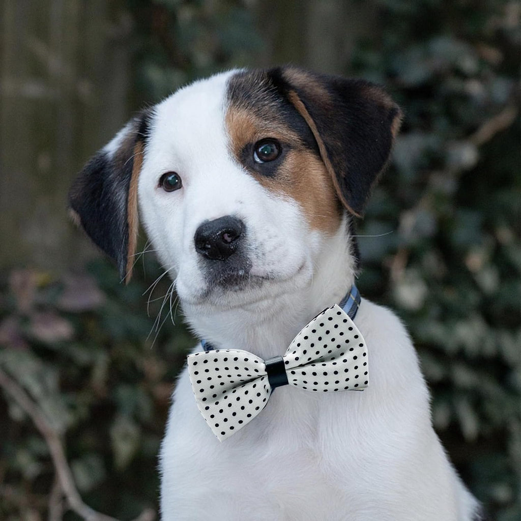 10 PCS Dogs Collar Elastic Attachment Bow Ties for Small Medium Large Pet/Cats Puppies Collar Charms Accessories Slides Bowties for Birthday Wedding Parties(Classic Medium)