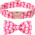 Unique style paws Cartoon Dog Collar with Bow Spring Summer Collar with Flower Rose Daisy for Small Medium Large Boys Girls Dogs