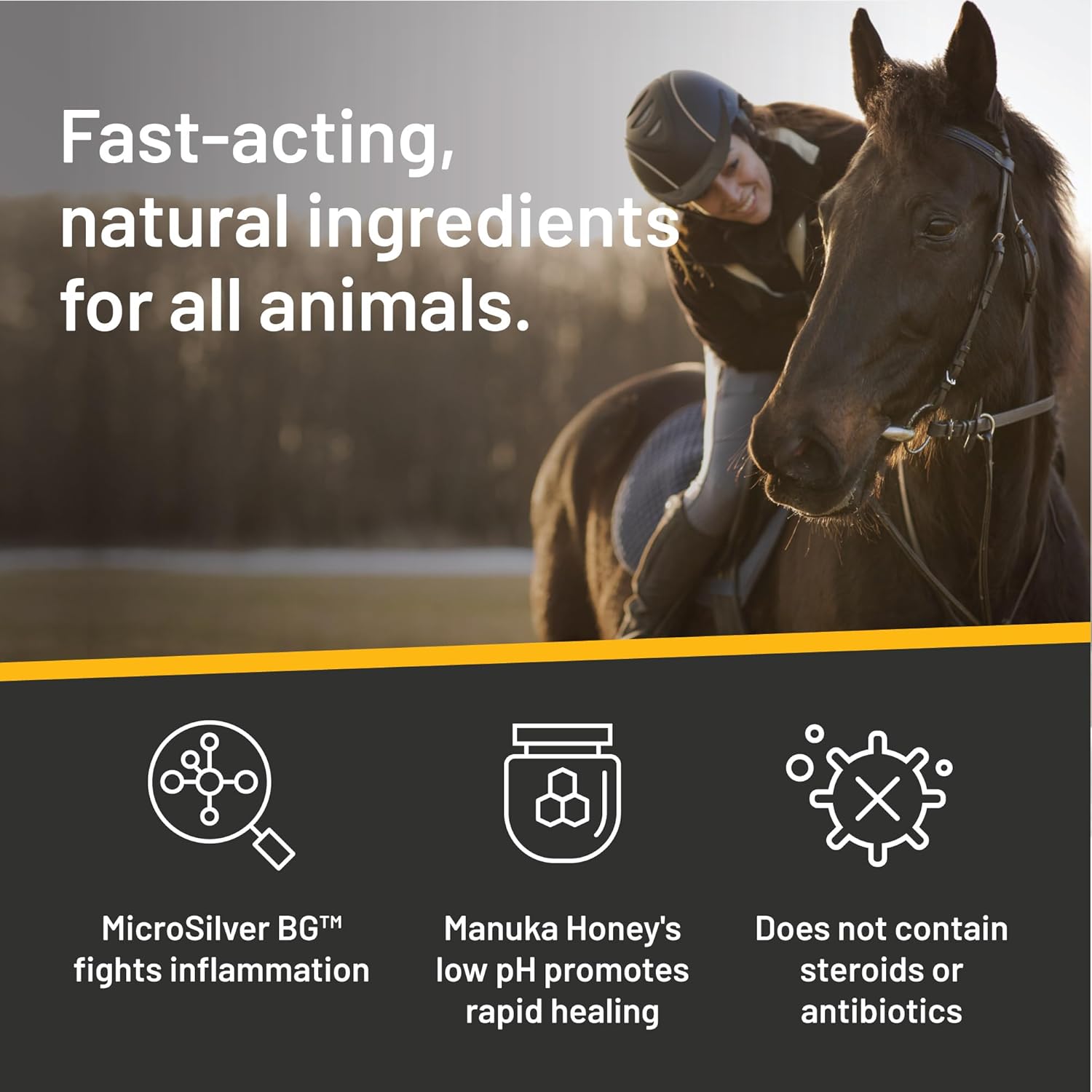 Absorbine Silver Honey Rapid Wound Repair Ointment, Manuka Honey & MicroSilver BG, Veterinarian Tested Horse & Animal Wound Care, 2oz Tube