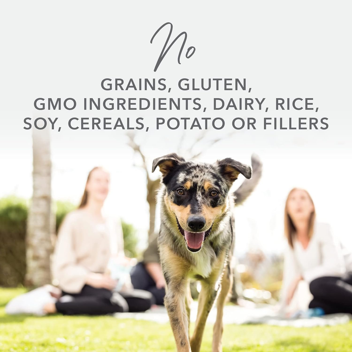 K9 Natural - Grain Free Freeze Dried Dog Food - Lamb, 1.1lb