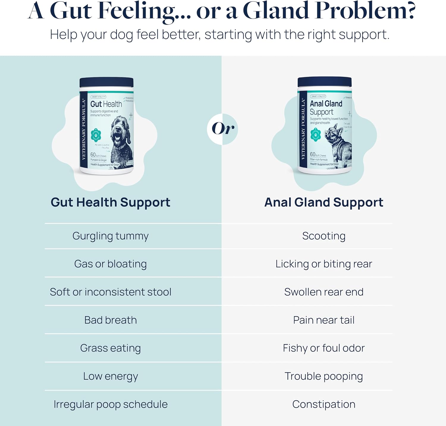 Veterinary Formula Anal Gland Support for Dogs – Vet-Formulated No Scoot Chews with Pumpkin, Ginger, Agave Inulin & Probiotics – Supports Scooting, Stool Quality & Digestive Health, 60 Soft Chews