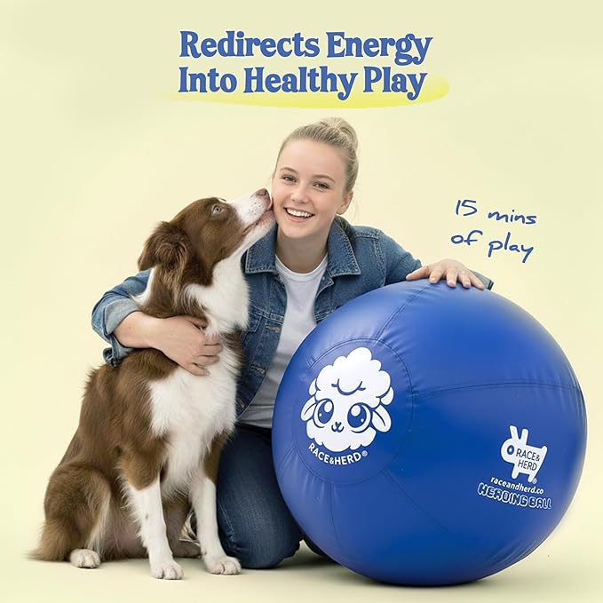 Race&Herd 18" Original XXL Herding Ball for Dogs - Herding Toys, Giant Dog Ball for Australian Shepherds, Border Collies - Durable Dog Outdoor Training Toy for Small Breeds (Blue)
