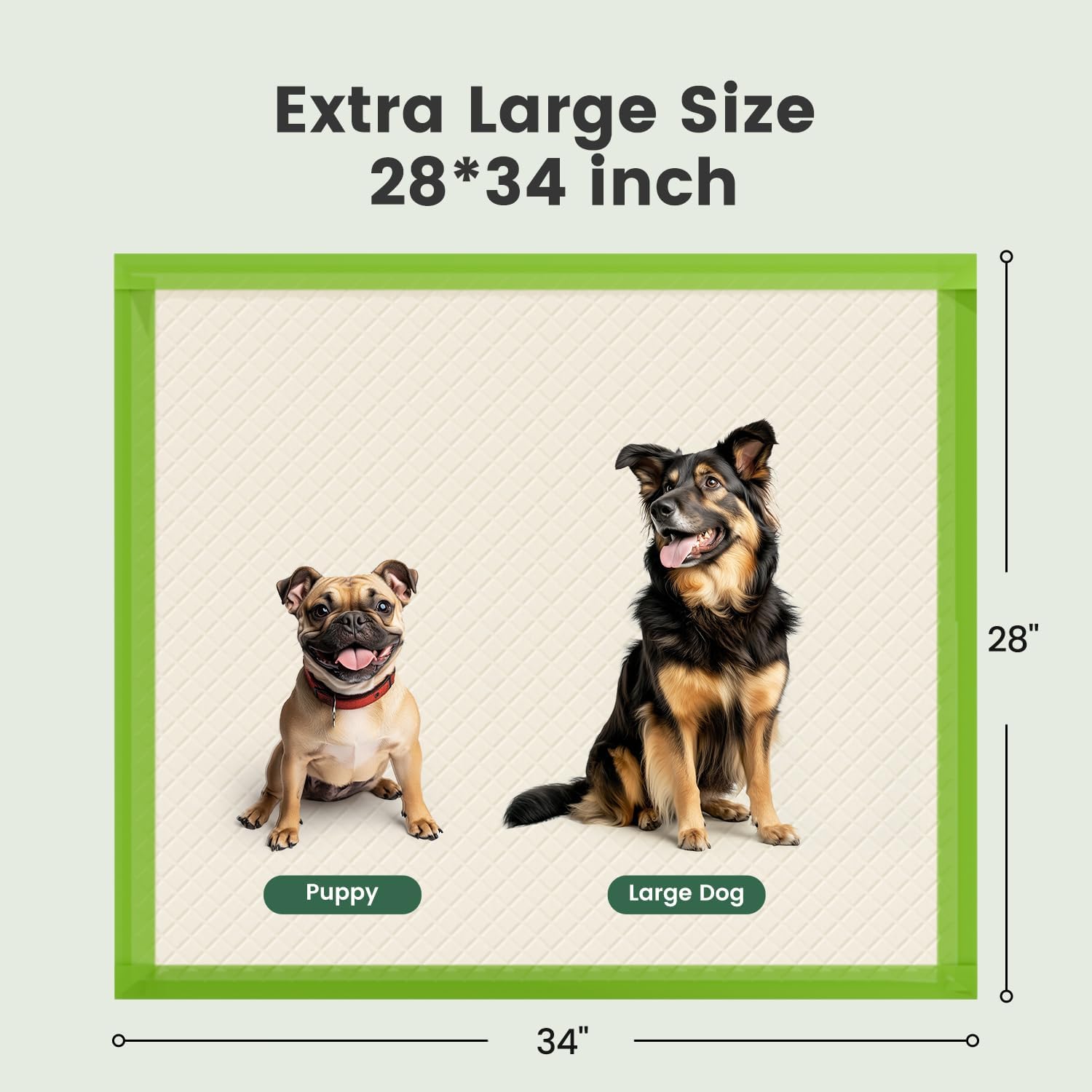 Gardner Pet Dog Pee Pads Extra Large 28"x34", XL Thicker ECO Green Disposable Puppy Training Pads Super Absorbent Full Edge-Wrapping Pad for Dogs, Puppies, Cats, Rabbits (10 Count)