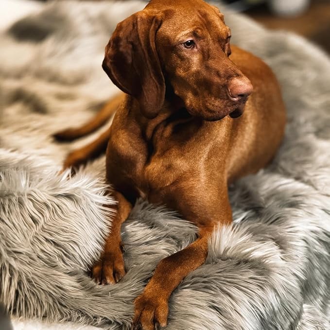 Waterproof Dog Blanket for Small, Medium & Large Dogs – Faux Fur Pet Throw for Couch, Sofa, Bed & Car – Soft, Washable, Stain-Resistant, Durable Cover – Grey – 40" x 30"