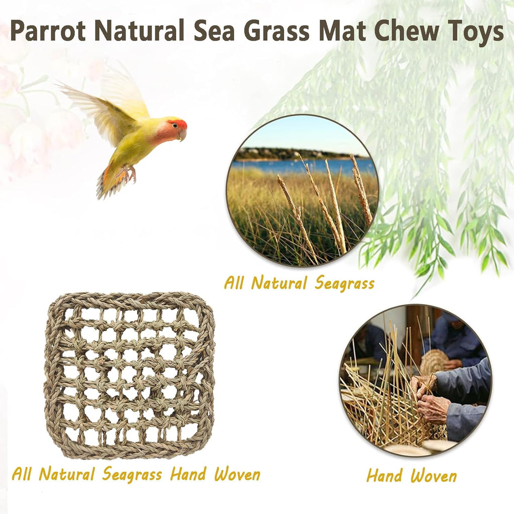 BNOSDM Bird Seagrass Mat, 3 PCS 7.1 x 7.1 Inches Parrot Natural Seagrass Woven Bird Net Hammock Mat, Parakeet Climbing Rope Ladder Chew Toys Hut Hideout for Lovebird Cockatiel Conure Budgie