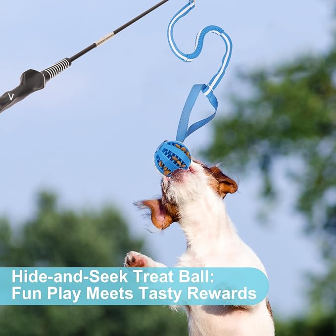 Flirt Pole for Dogs, Durable Dog Flirt Pole for Large Medium & Small Dogs, Interactive Dog Pole Toy with Rubber Ball for Outdoor/Indoor, Training, Chase, Tug of War (24 & 31 inch)