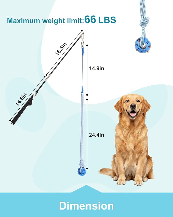 Flirt Pole for Dogs, Durable Dog Flirt Pole for Large Medium & Small Dogs, Interactive Dog Pole Toy with Rubber Ball for Outdoor/Indoor, Training, Chase, Tug of War 24 inch