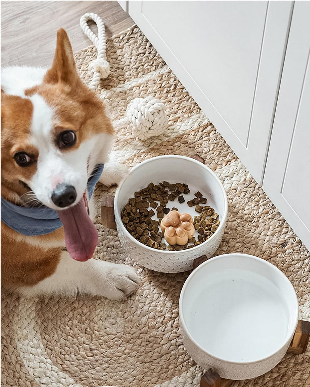 LE TAUCI Dog Bowl Set with Acacia Wood Stand - 1.5-Cup Ceramic Puppy Bowls for Small Dogs, Dual Food and Water Bowls with Weighted Non-Slip Base, Clover