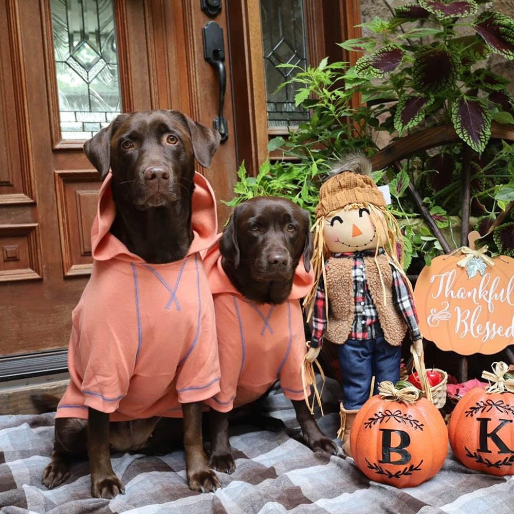 Blueberry Pet Essentials Dog Hoodie – 16 inch, Cotton‑Blend Sweatshirt with Hood, Coral, Machine‑Washable Small‑Dog Jersey